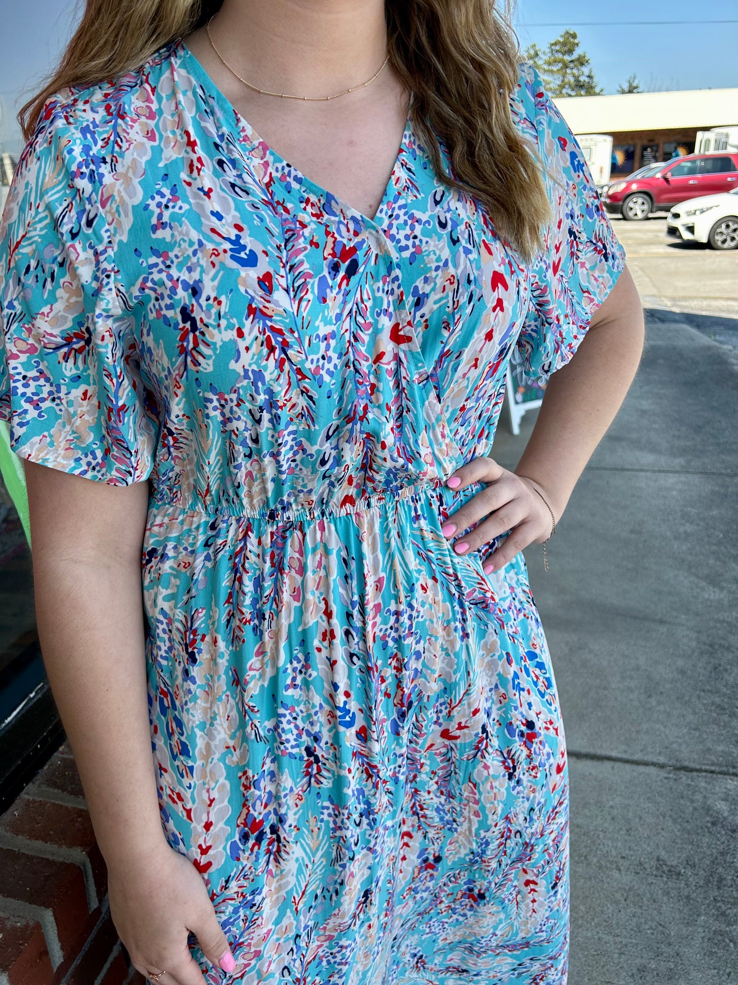 Lily Print Maxi Dress