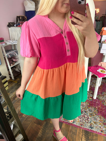 Carlie Colorblock Dress