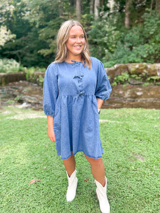 Denim Darling Dress