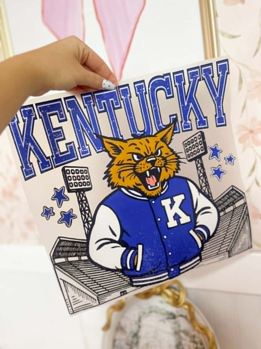 Kentucky Stadium Print