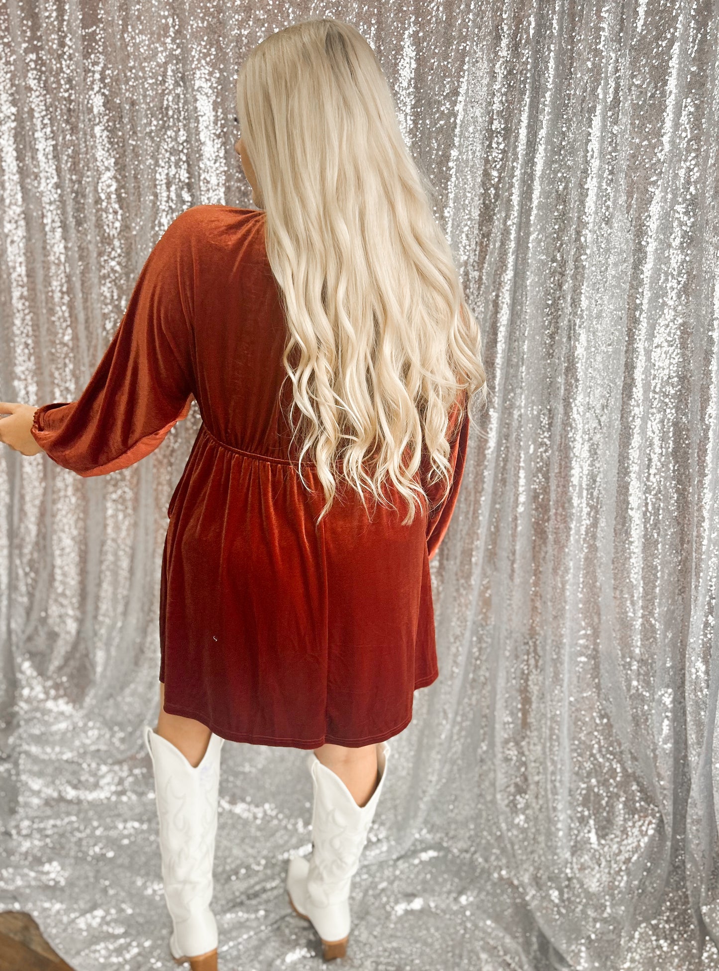 Veronica Velvet Dress