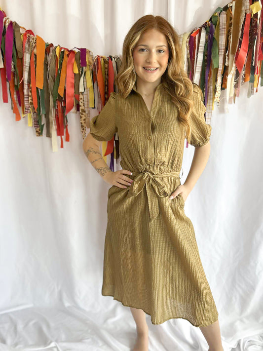 Fall Vibes Sinched Bow Dress