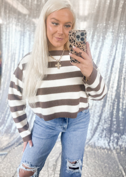 Brown Striped Cropped Knit Sweater